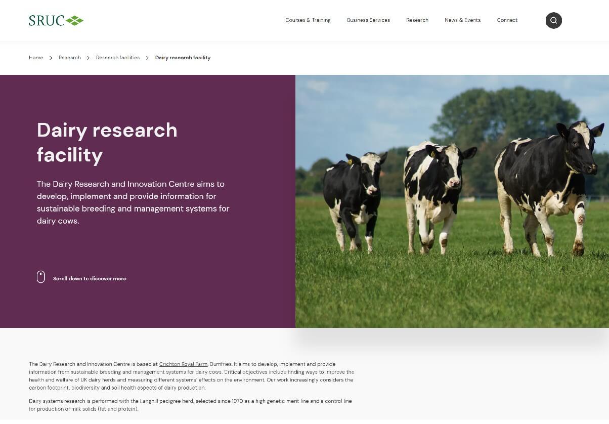 Image of the Dairy Research Homepage